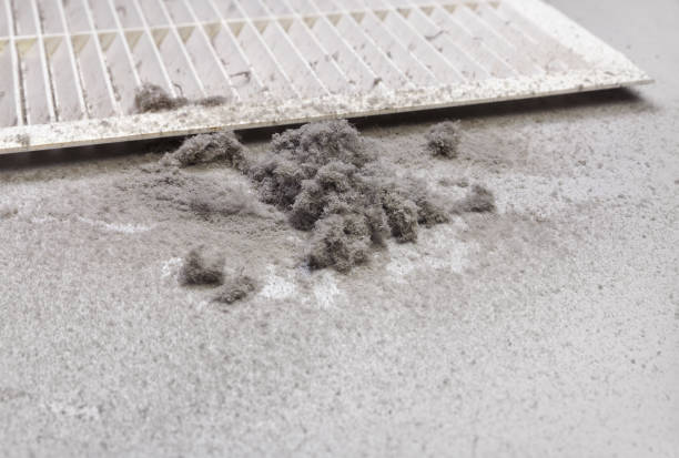 Best Local Air Duct Cleaning Services  in Driggs, ID