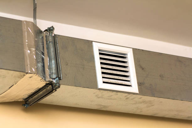 Best Professional Duct Cleaning Services  in Driggs, ID